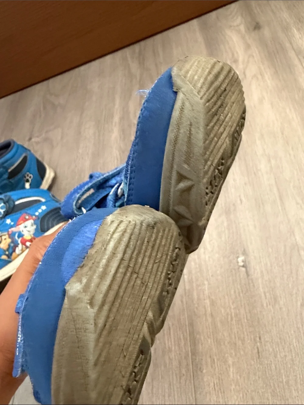OshKosh B'gosh Blue Kids Sneakers with Paw Patrol Design